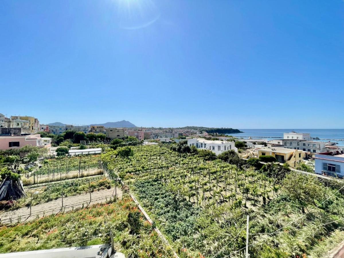 La Casa Dei Sogni Villa Procida Exterior photo